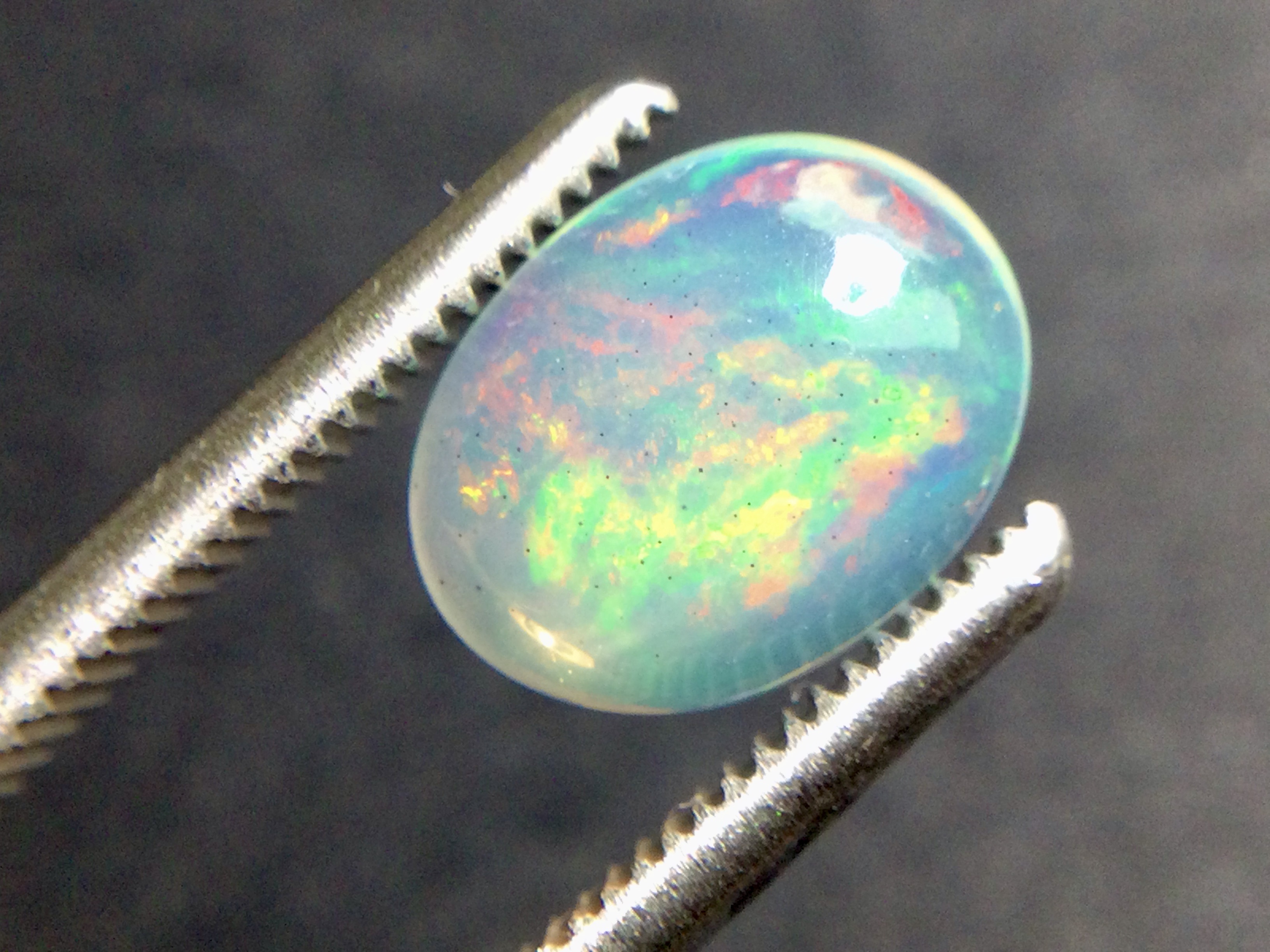 Konvolut von 12 Ethiopischen Welo -Crystal Opalen - 9.07 ct B 312