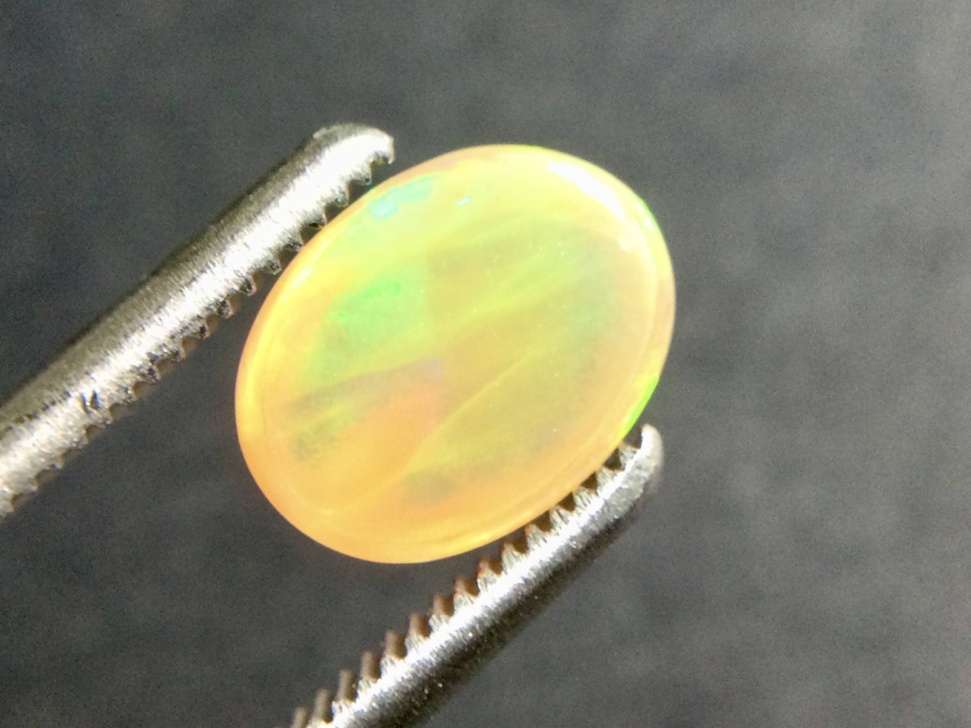 Konvolut von 12 Ethiopischen Welo -Crystal Opalen - 9.07 ct B 312