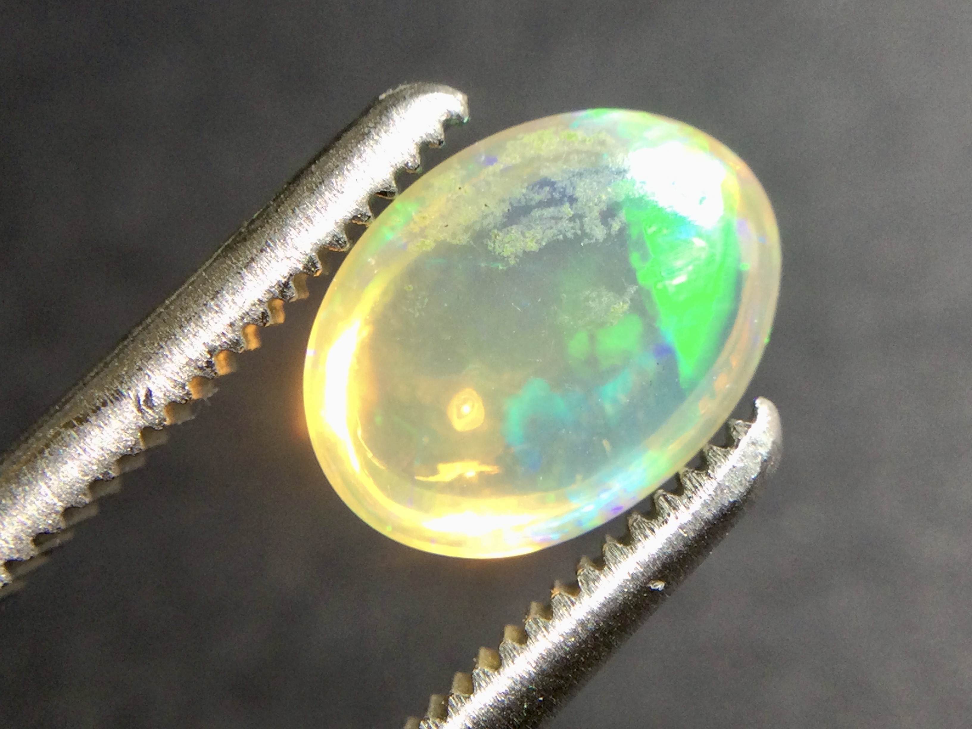 Konvolut von 12 Ethiopischen Welo -Crystal Opalen - 9.07 ct B 312