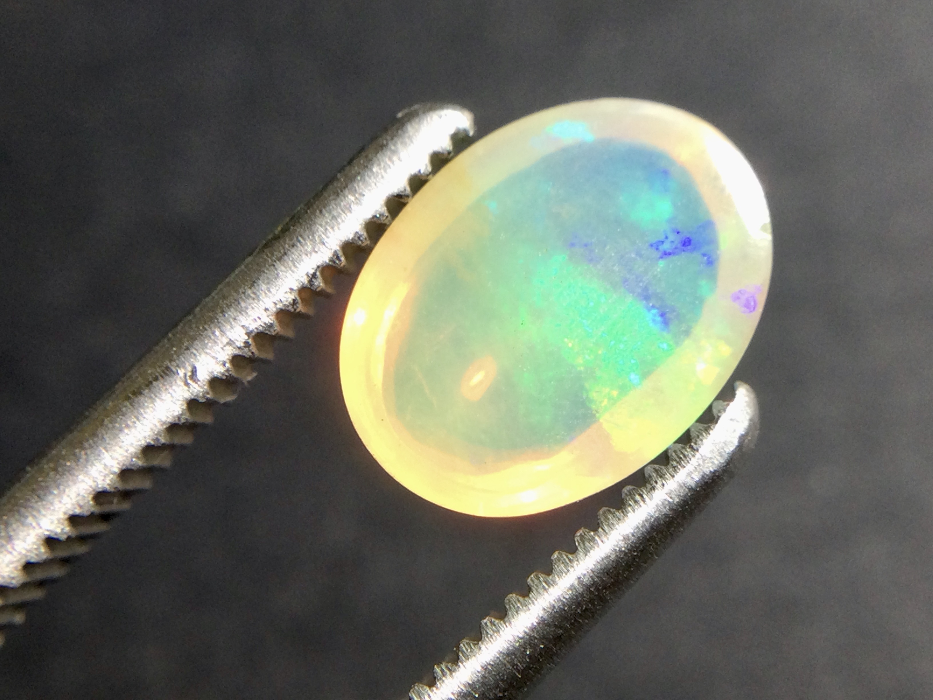 Konvolut von 12 Ethiopischen Welo -Crystal Opalen - 9.07 ct B 312