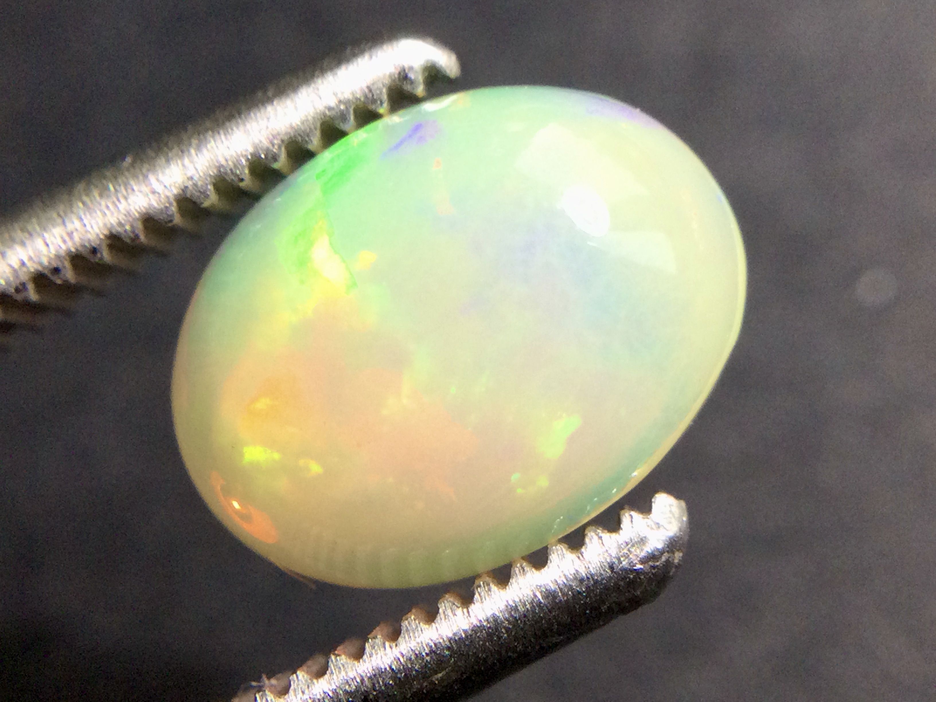 Konvolut von 12 Ethiopischen Welo -Crystal Opalen - 9.07 ct B 312