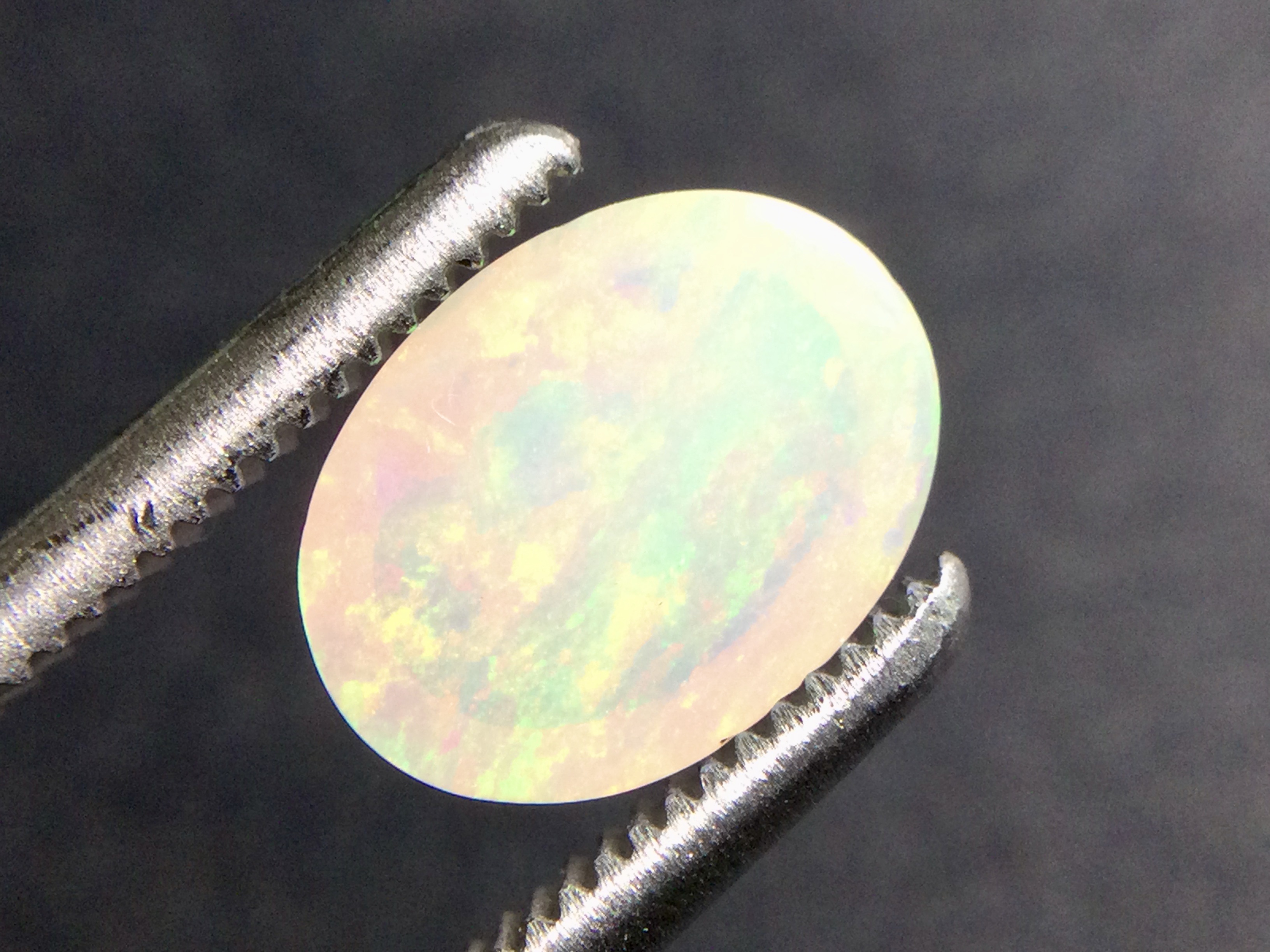 Konvolut von 12 Ethiopischen Welo -Crystal Opalen - 9.07 ct B 312