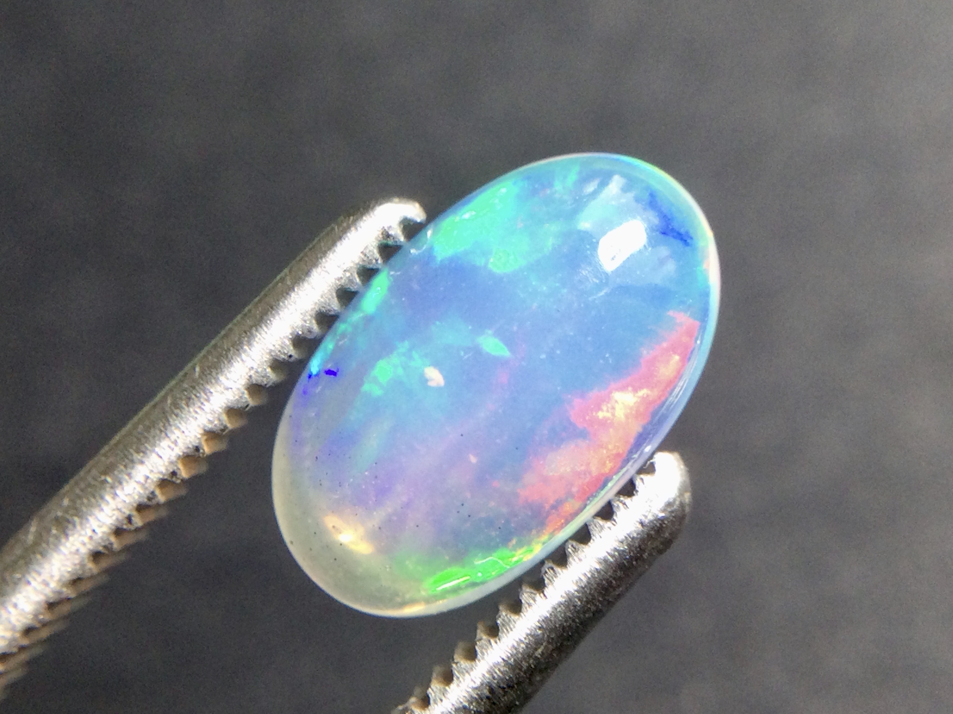 Konvolut von 12 Ethiopischen Welo -Crystal Opalen - 9.07 ct B 312