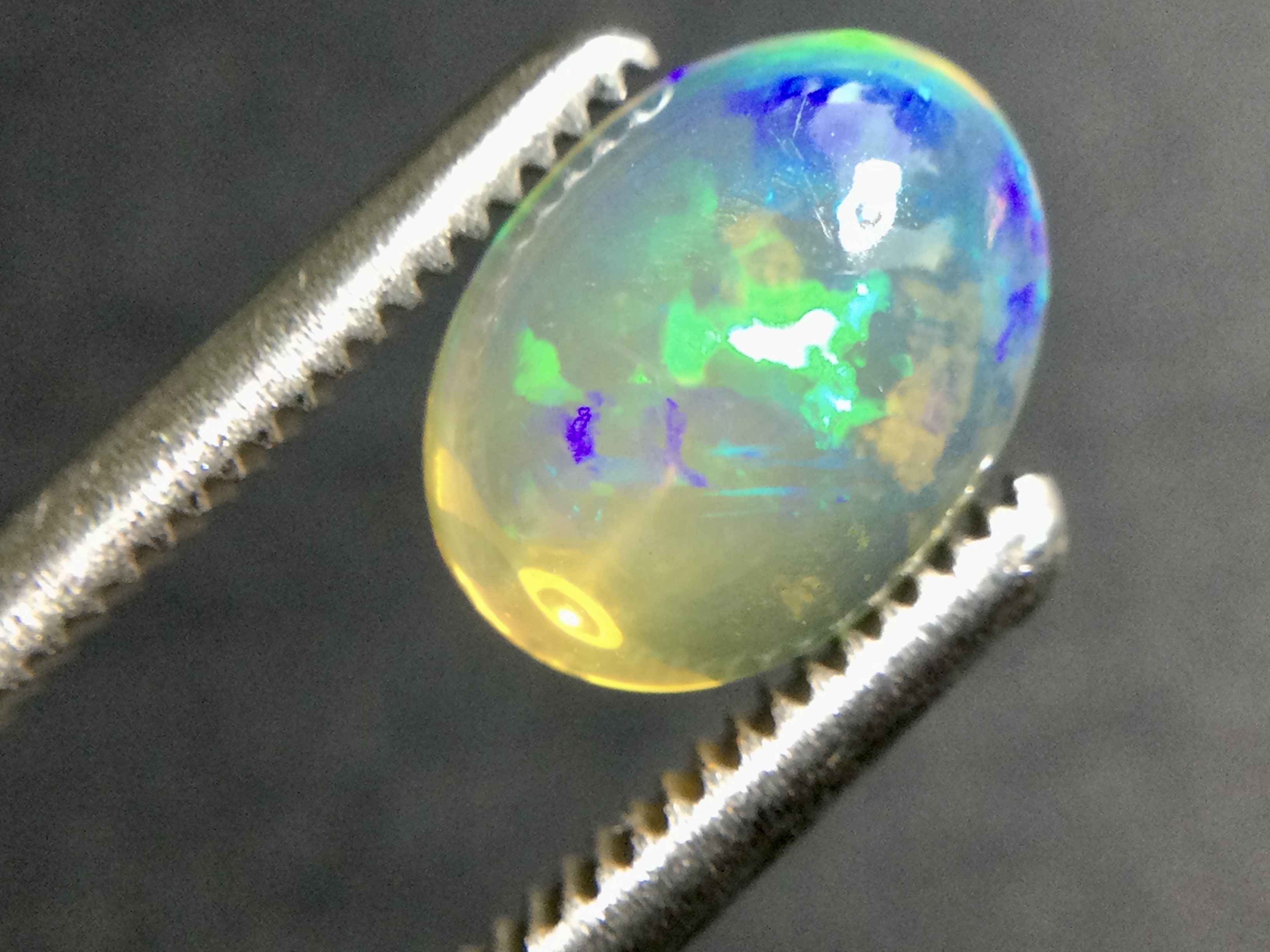 Konvolut von 12 Ethiopischen Welo -Crystal Opalen - 9.07 ct B 312