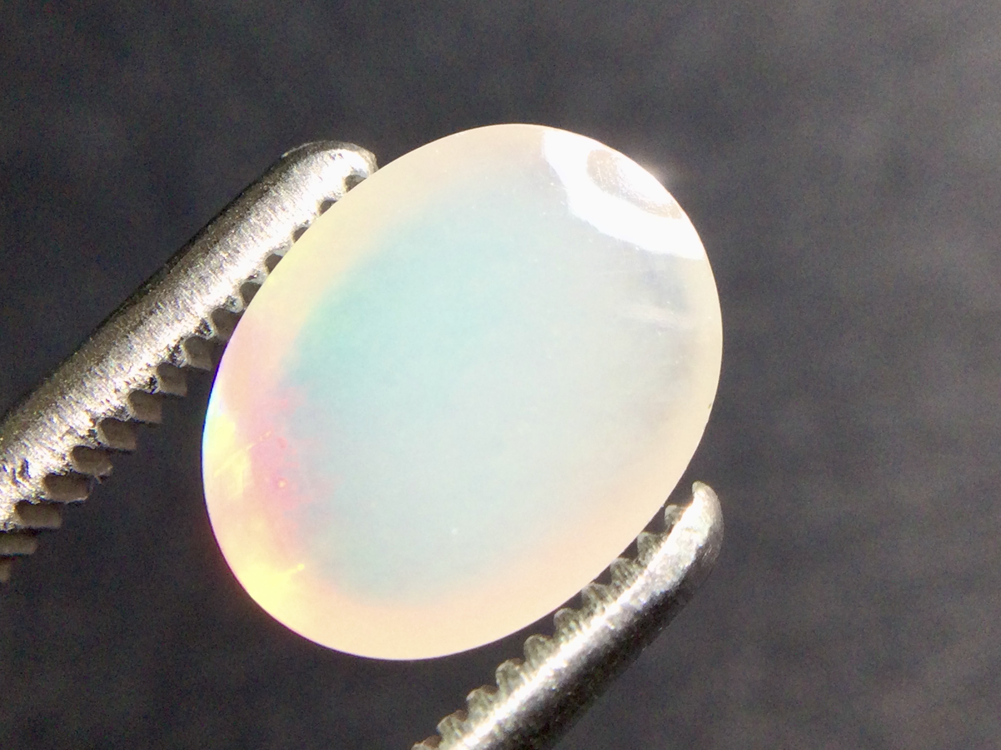 Konvolut von 12 Ethiopischen Welo -Crystal Opalen - 9.07 ct B 312