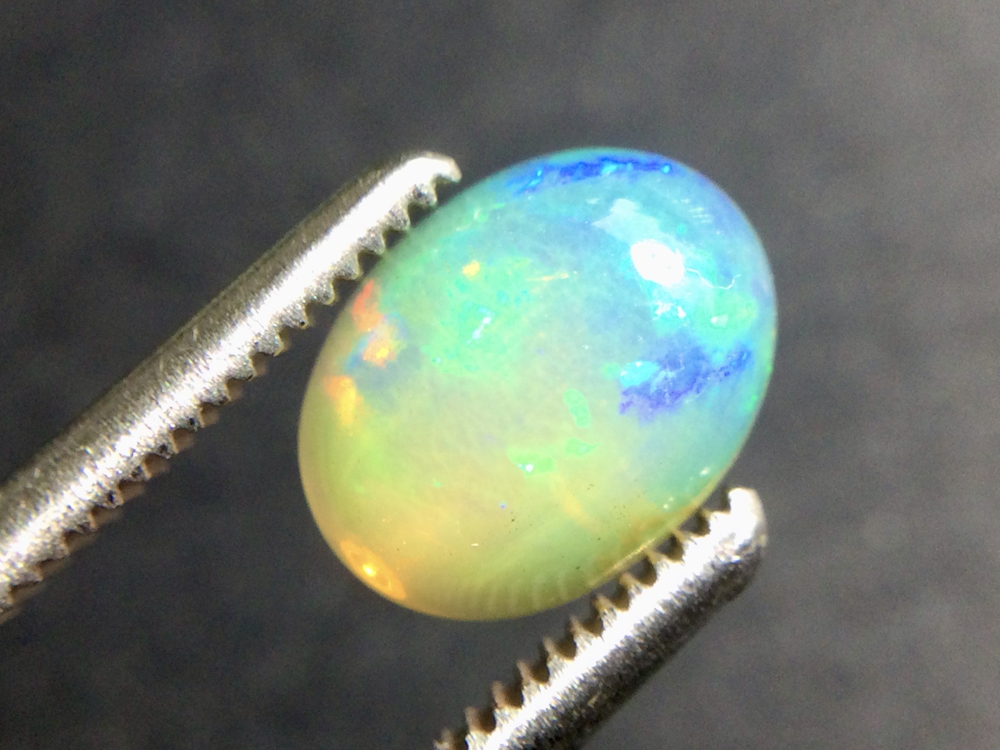 Konvolut von 12 Ethiopischen Welo -Crystal Opalen - 9.07 ct B 312