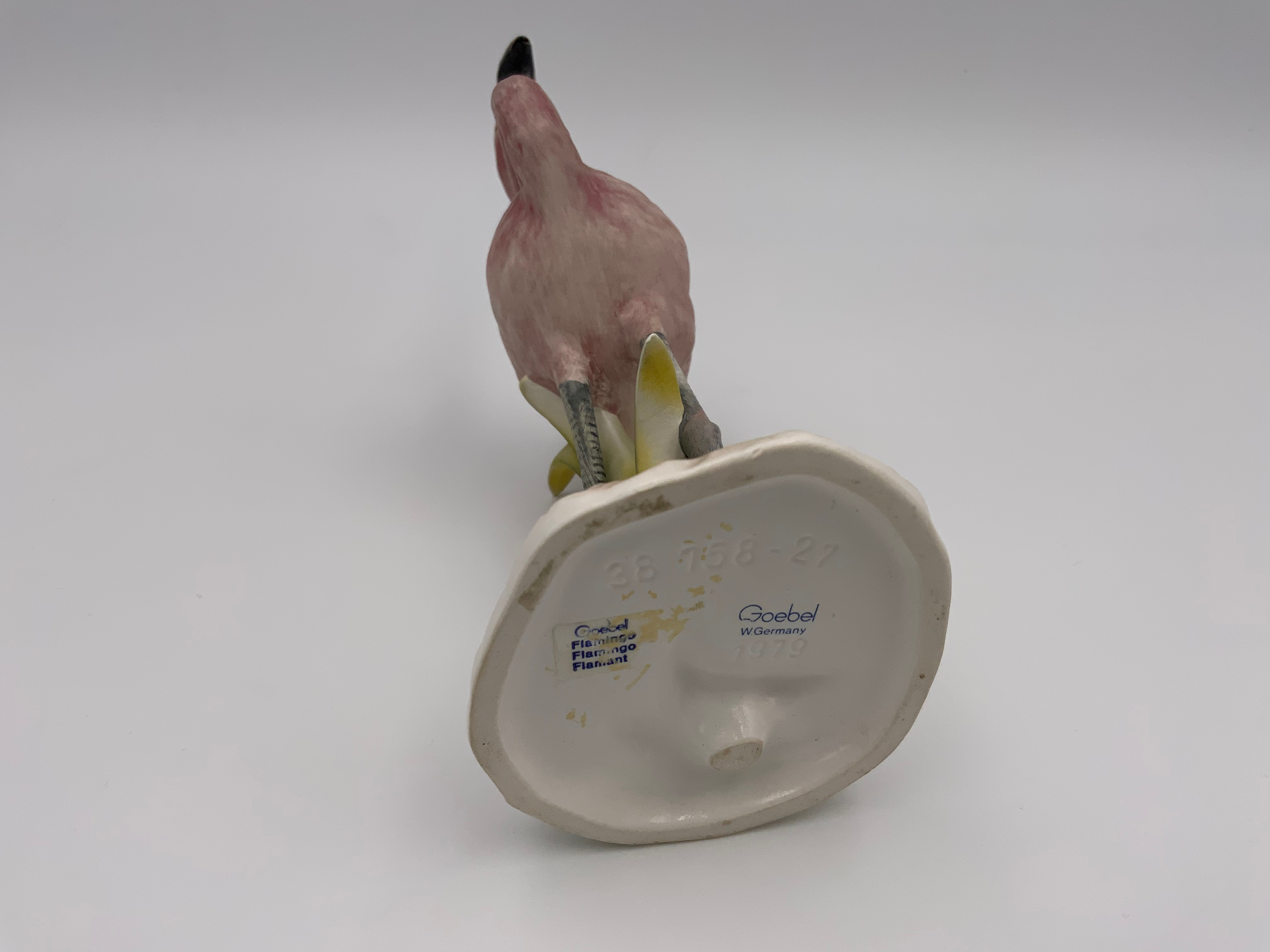 Flamingo