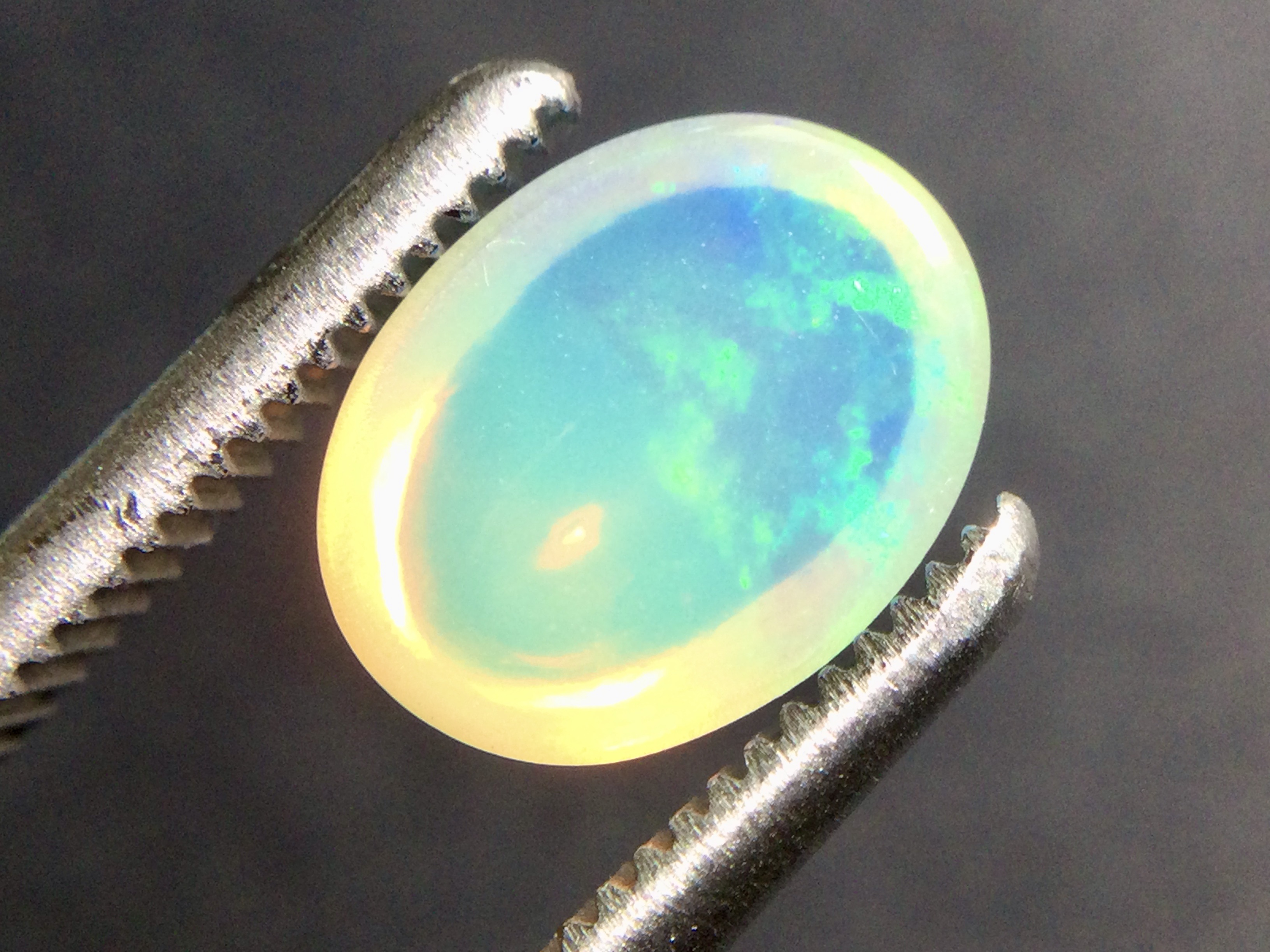 Konvolut von 12 Ethiopischen Welo -Crystal Opalen - 9.07 ct B 312