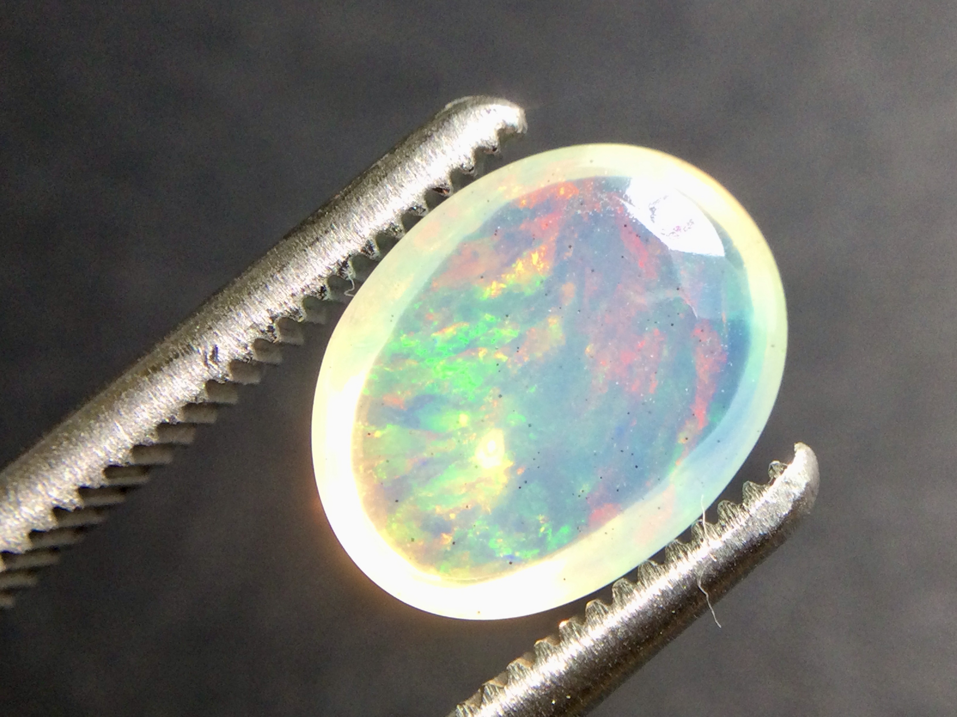 Konvolut von 12 Ethiopischen Welo -Crystal Opalen - 9.07 ct B 312