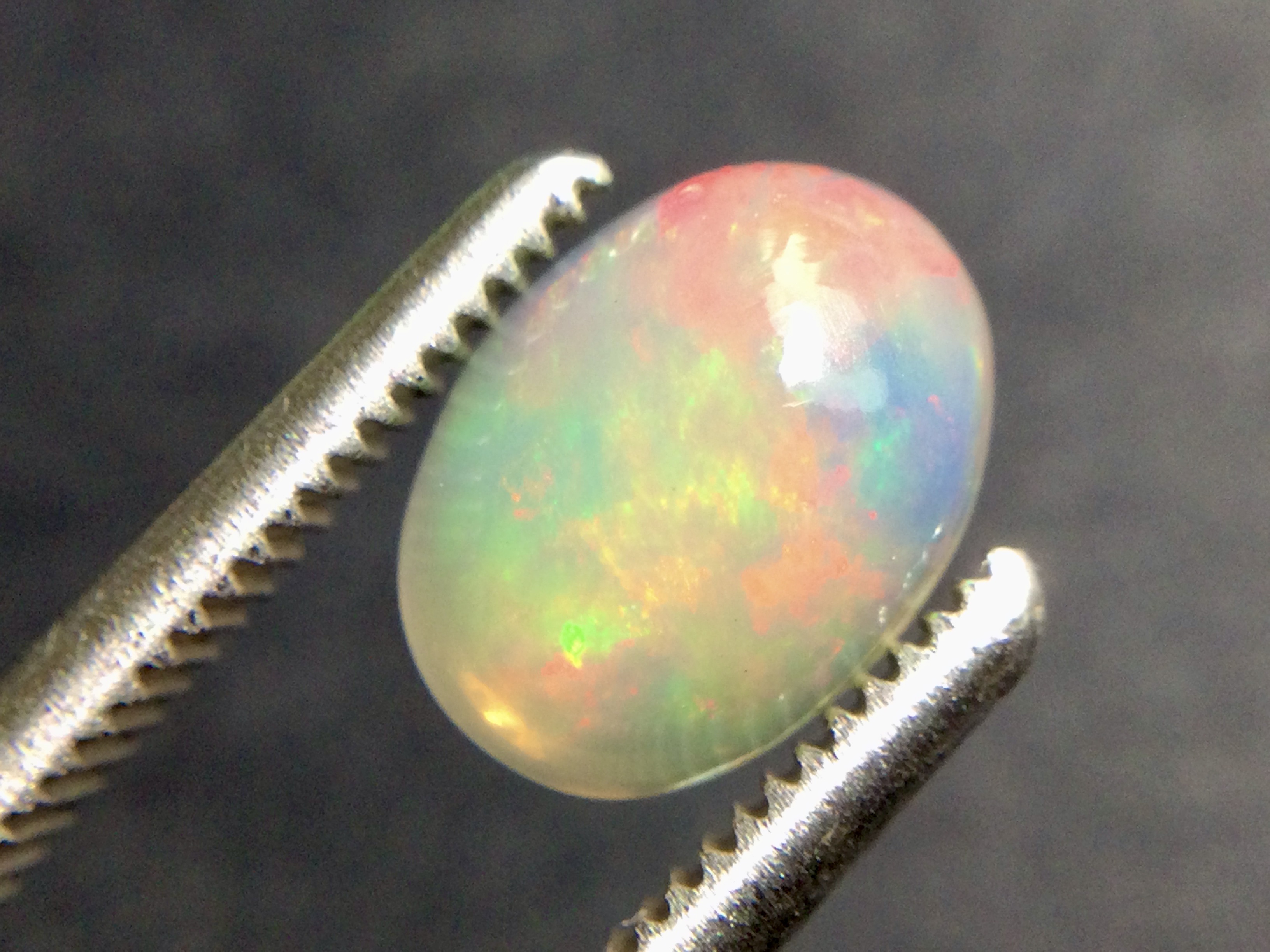 Konvolut von 12 Ethiopischen Welo -Crystal Opalen - 9.07 ct B 312