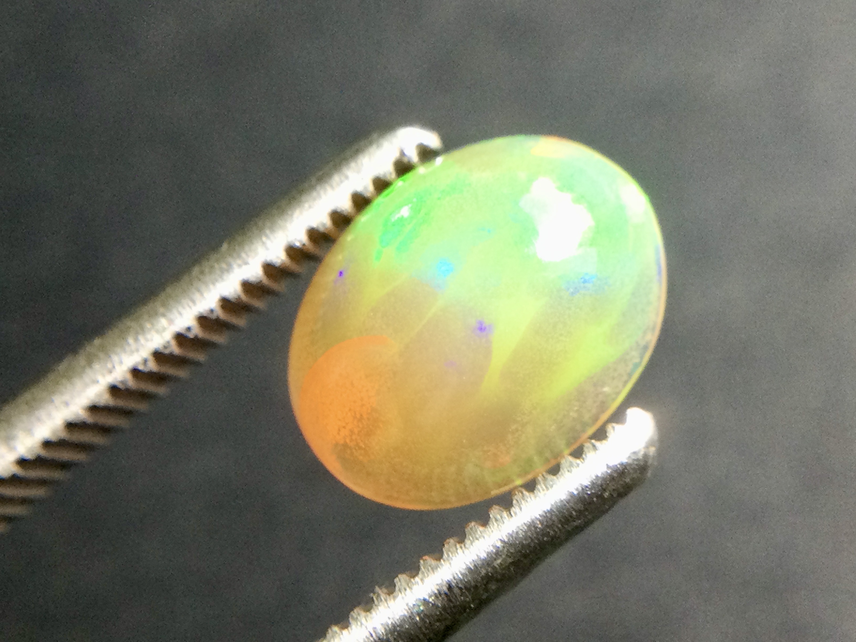 Konvolut von 12 Ethiopischen Welo -Crystal Opalen - 9.07 ct B 312